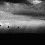 2022. ホームページオープン